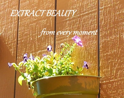 extract beauty