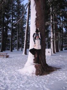chilly tree, Lake Tahoe, NV